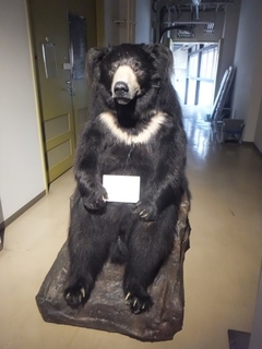 DSCF0021.jpg