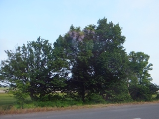 DSCF0047.jpg