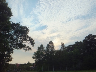 DSCF0084.jpg