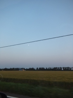 DSCF0087.jpg