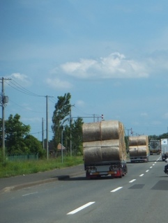 DSCF0122.jpg