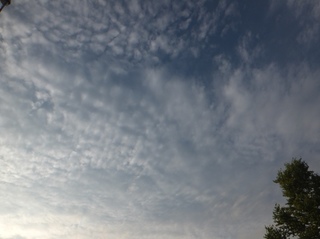 DSCF0173.jpg