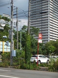 DSCF0196.jpg