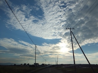 DSCF0529.jpg