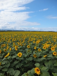 DSCF0691.jpg