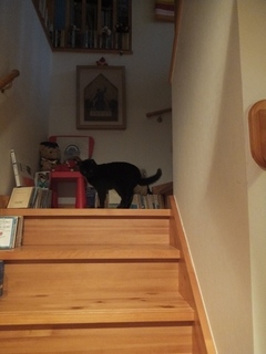 DSCF0778.jpg