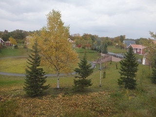 DSCF0788.jpg