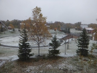 DSCF0823.jpg