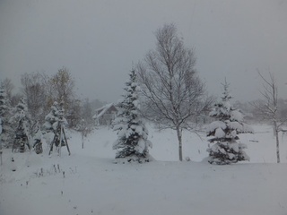 DSCF0917.jpg