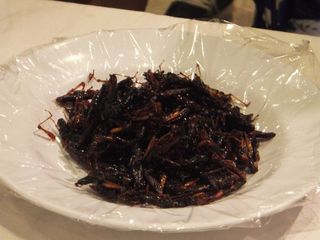DSCF1074.jpg