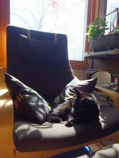 DSCF1401.jpg