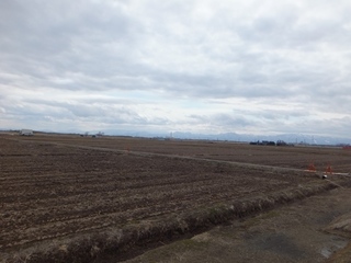 DSCF1417.jpg