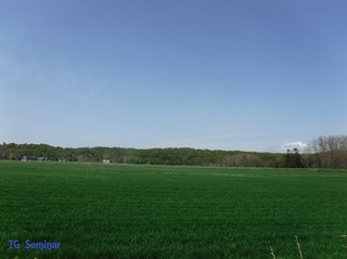 DSCF1571.jpg