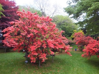 DSCF1735.jpg