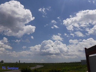 DSCF1774.jpg