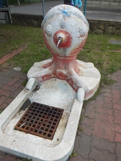 DSCF1793.jpg