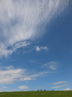 DSCF1804.jpg