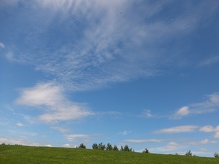 DSCF1807.jpg