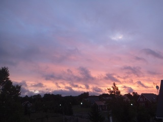 DSCF1847.jpg