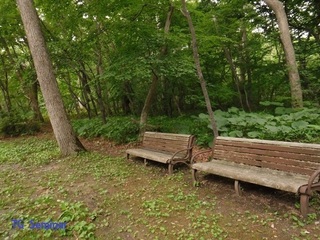DSCF1933.jpg
