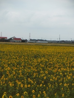DSCF1970.jpg