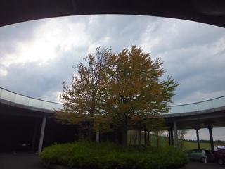 DSCF2051.jpg