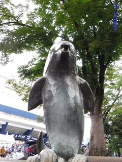 DSCF2117.jpg