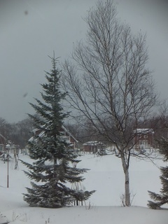 DSCF2272.jpg