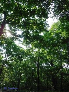 DSCF2282.jpg