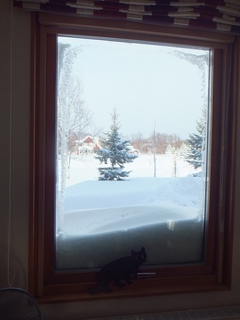 DSCF2516.jpg