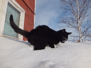 DSCF2582.jpg