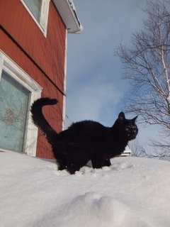 DSCF2583.jpg