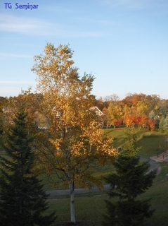DSCF2629.jpg