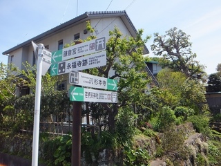 DSCF2759.jpg