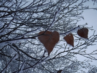 DSCF2854.jpg