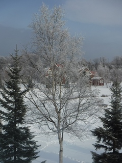 DSCF2864.jpg