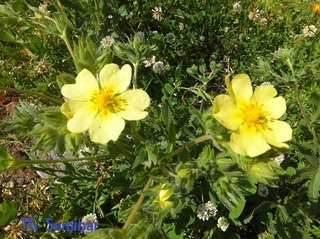 DSCF2864.jpg