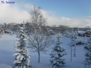 DSCF2938.jpg