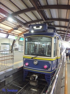 DSCF2977.jpg