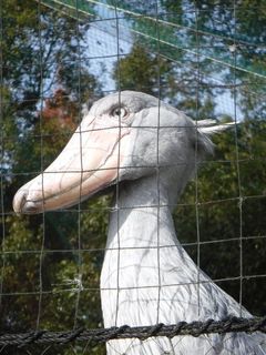 DSCF3944.jpg