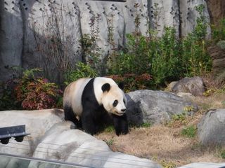 DSCF3983.jpg