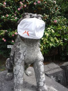 DSCF4319.jpg
