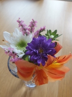 DSCF7736.jpg