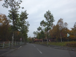 DSCF8282.jpg