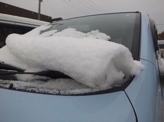 DSCF8398.jpg