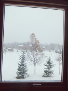 DSCF8401.jpg