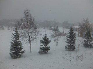 DSCF8430.jpg