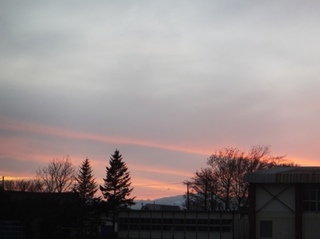 DSCF8462.jpg