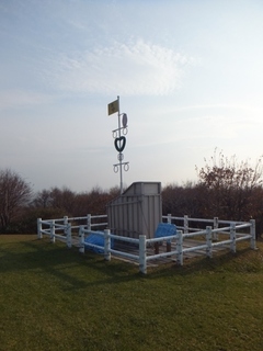 DSCF8480.jpg