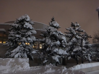 DSCF8544.jpg